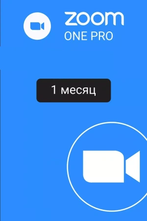 Подписка Zoom Профессиональный 1 месяц (активация сотрудником)